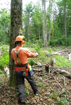 Safety First in the Forest Photo: Dave Mance III