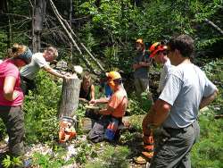 Safety First in the Forest Photo: Dave Mance III