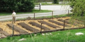 Garden_1_blog.JPG thumbnail