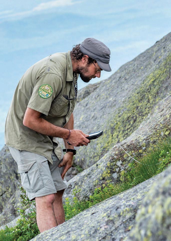 Rare Plants Hold Their Own on Adirondack Mountain Summits