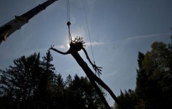 The Man Who Freed a Giant Photo: John Douglas/Flying Squirrel