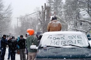 Saving Herbie: New Life for a 217-year-old American Elm thumbnail