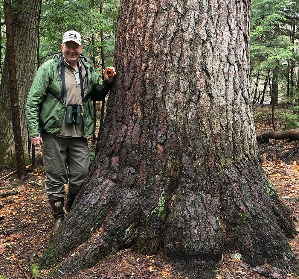 Exploring Big Trees, History, and Old Growth with David Govatski