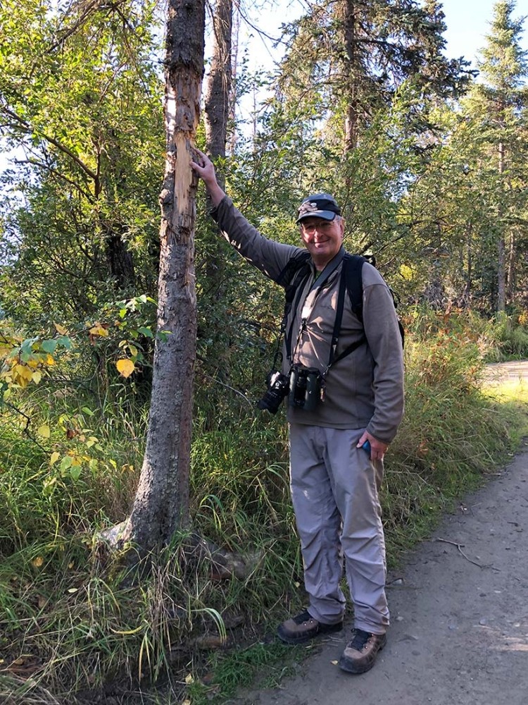 Exploring Big Trees, History, and Old Growth with David Govatski