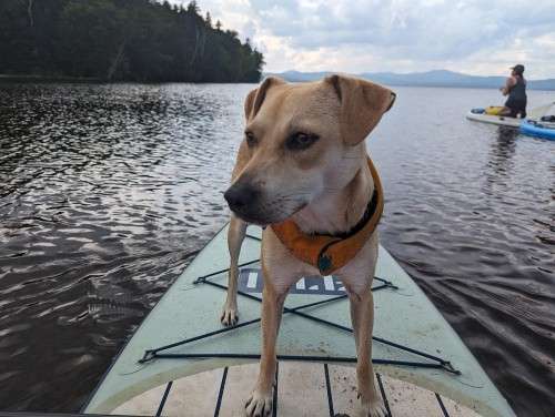 Paddling friend