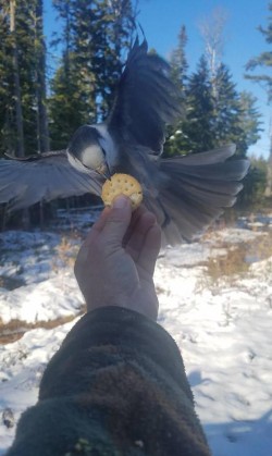 A Bird in Hand Photo: Lonnie Jandreau