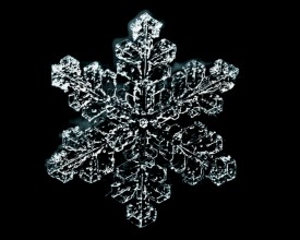 Snowflake thumbnail