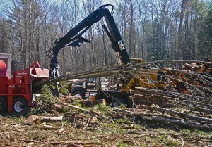 Field Work: At Work Chipping Trees with the Hardwick Family thumbnail