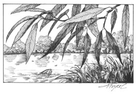 Healthy_Rivers.jpg thumbnail