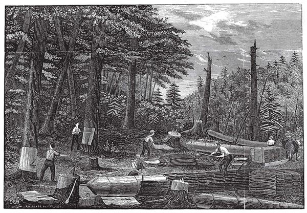 Hemlock and Hide: The Tanbark Industry in Old New York thumbnail