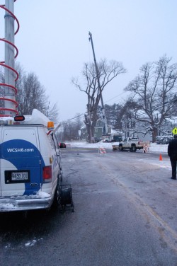 Saving Herbie: New Life for a 217-year-old American Elm Photo: Scott Gibson