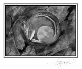 hibernationpix_800.jpg thumbnail