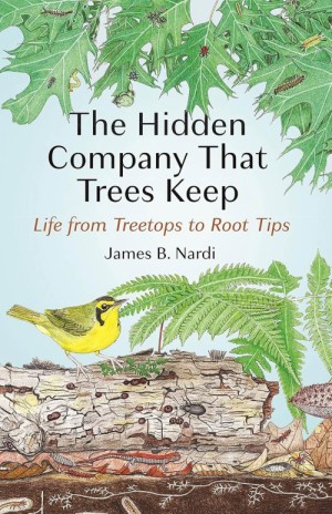 Hidden company trees keep thumbnail