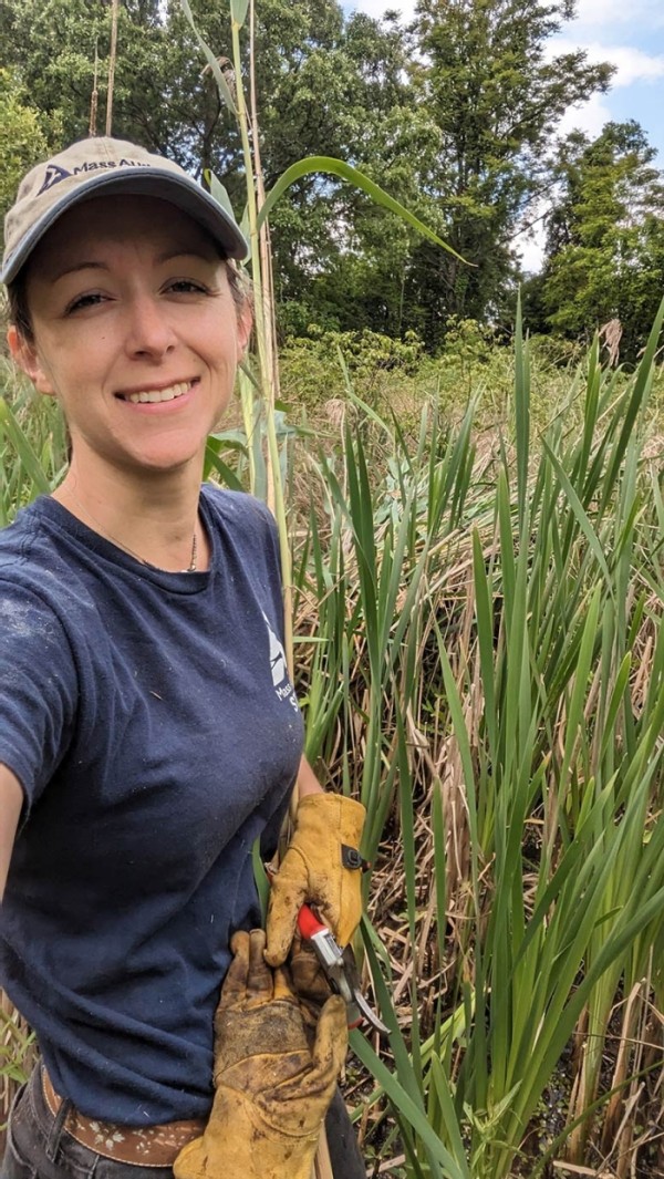 Urban Ecology with Erica Holm