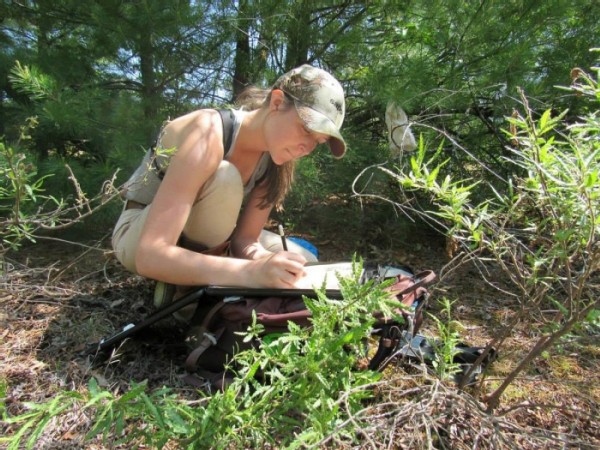 Urban Ecology with Erica Holm