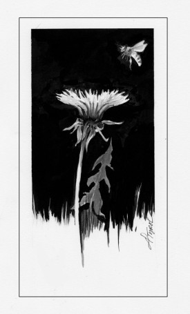 Honey_bees.jpg thumbnail