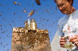 househunting2.jpg thumbnail