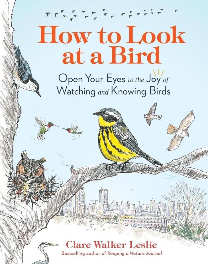 Inspiring Curiosity with Clare Walker Leslie