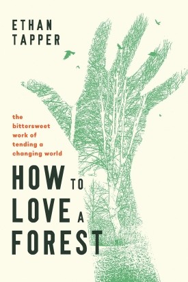 “How to Love a Forest” Woods Walk with Ethan Tapper thumbnail
