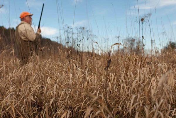 The Meaning of Meat: Adult-Onset Hunters Look to the Land for Sustenance