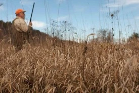 hunt0.jpg thumbnail