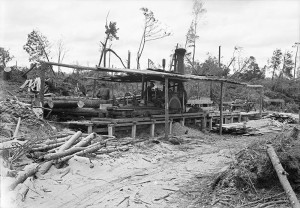 Thirty-Eight: Salvaging Lumber in the Wake of New England’s Most Damaging Storm thumbnail