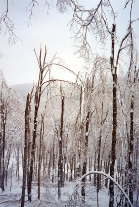 ice_storm_story.jpg thumbnail