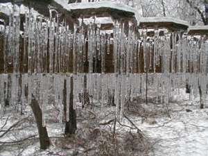 icicles_Page_1_Image_0001.jpg