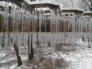 Lessons From the Ice Storm