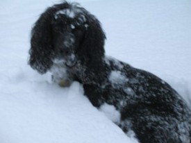 IMG_1441.jpg thumbnail