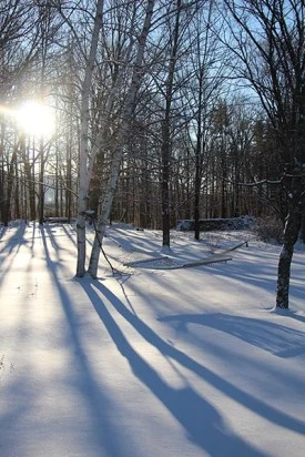 IMG_4286_web.jpg thumbnail