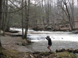 img_6706_jellyfalls_web.jpg