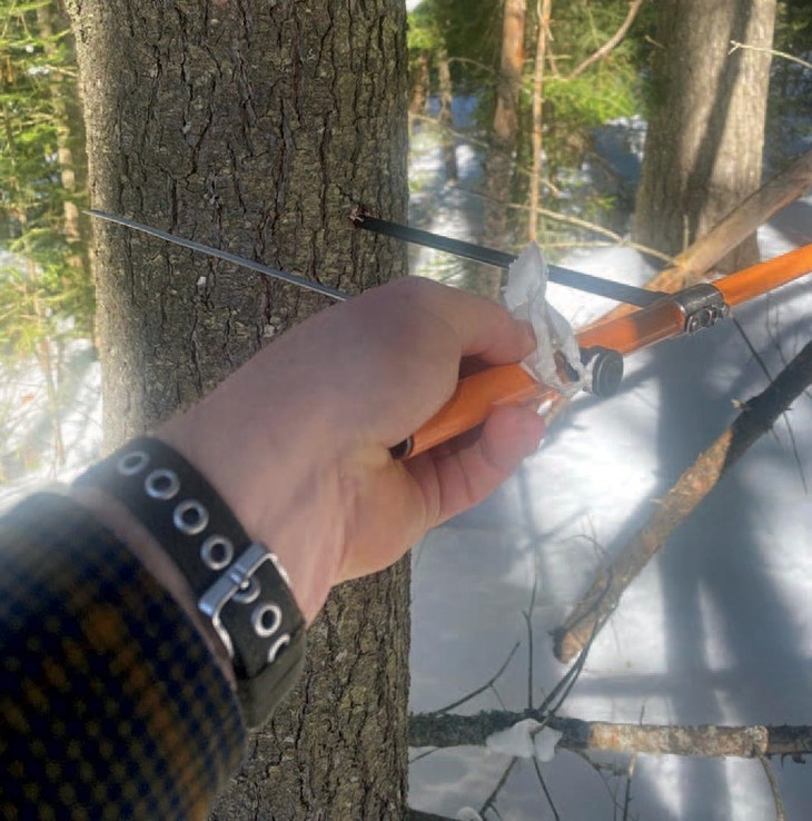 Aging a Tree with an Increment Borer