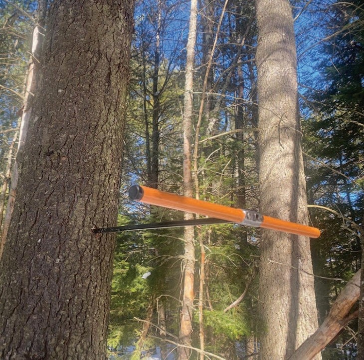 Aging a Tree with an Increment Borer