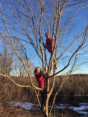 Exploring the Natural World with Molly and Pearl Aeberhard thumbnail