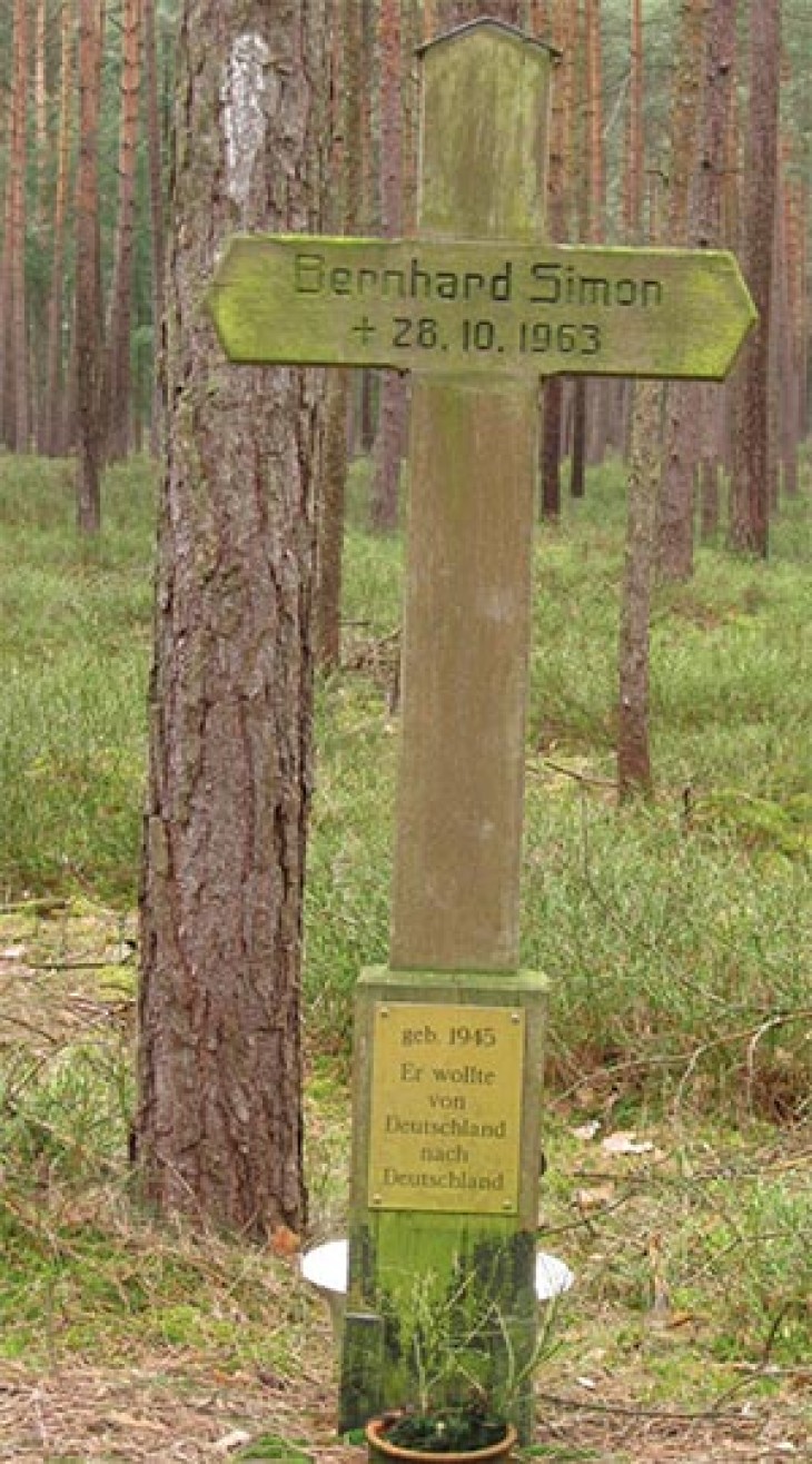 iron_curtain_forests_2.jpg