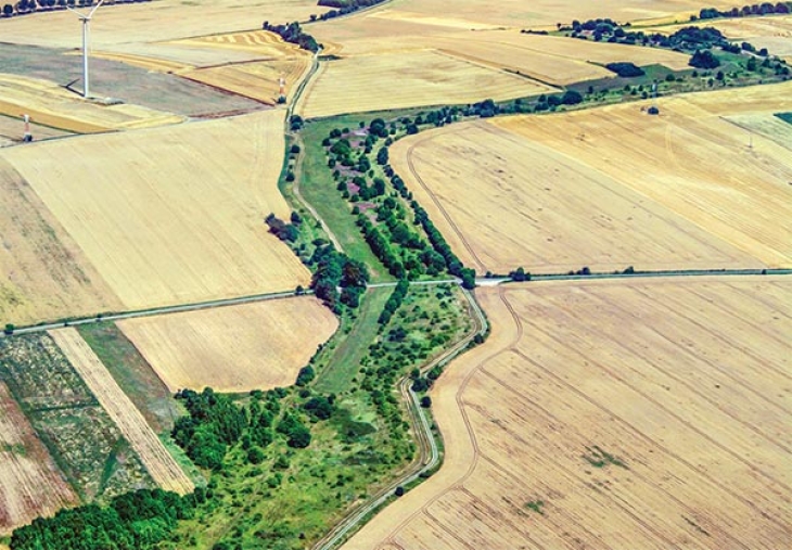 Border Forests: Legacies of the Iron Curtain