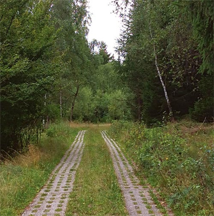 Border Forests: Legacies of the Iron Curtain