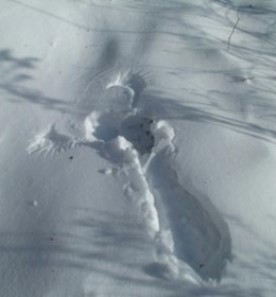 Jan0810_contest_pic_400.jpg thumbnail