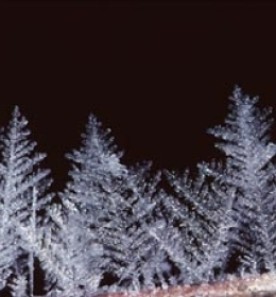 Jan1510_contest_pic_400.jpg thumbnail