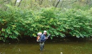 Field Work: At Work Battling Invasives with Jeff Taylor thumbnail