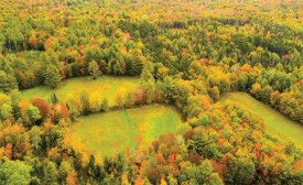 Jockey Hill thumbnail