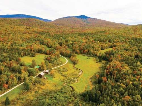 Jockey Hill Foliage