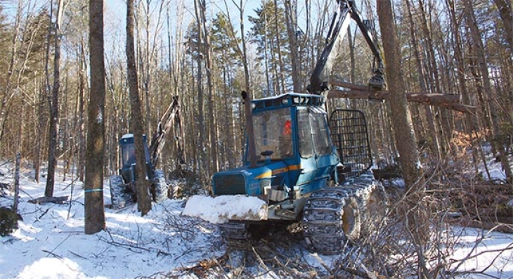 Field Work: At Work Logging (and Training) with John Adler