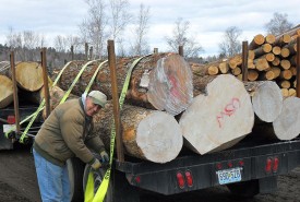 johngriffin_aut14.jpg thumbnail