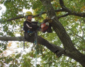 katie1.jpg thumbnail