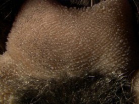 Kays_fisherpicts-01.jpg thumbnail