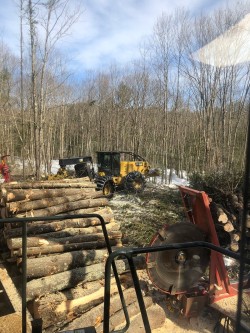 Kimball_Logging_2.jpg