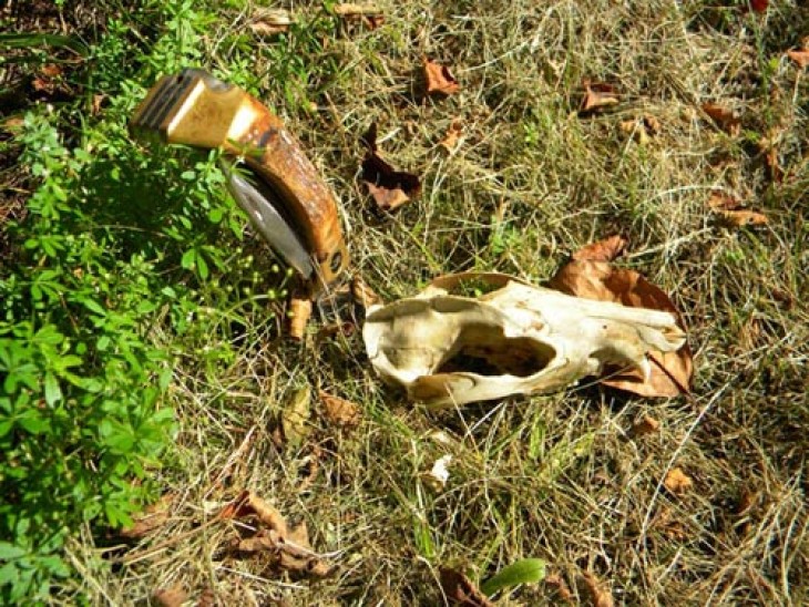 knife_n_head.jpg Image