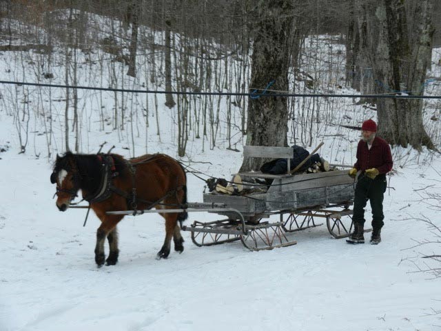 Sugaring with Art Krueger